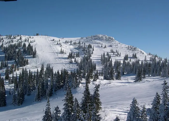 Hochkarhof Hotell 3*